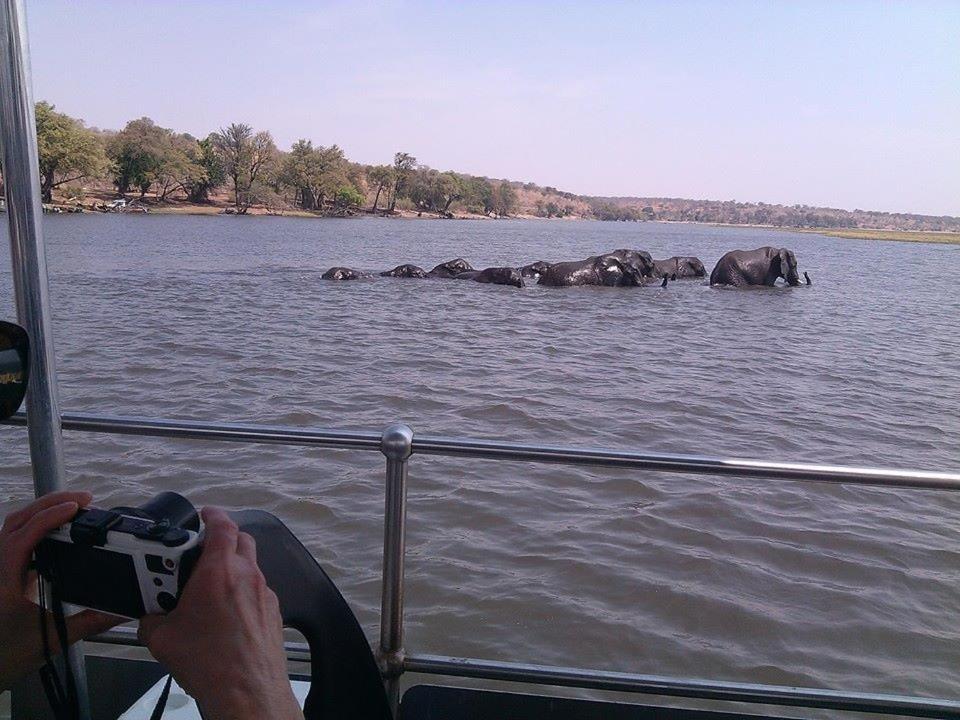 Bj&T Vacation Homes Касане Екстер'єр фото